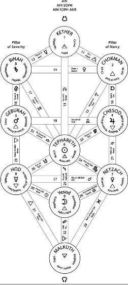 Tree of Life diagram.