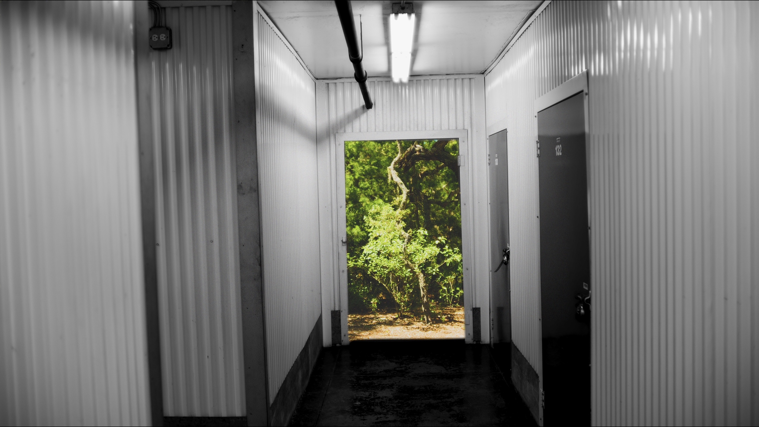 A monochrome storage corridor opening into a green forest in Thoth.