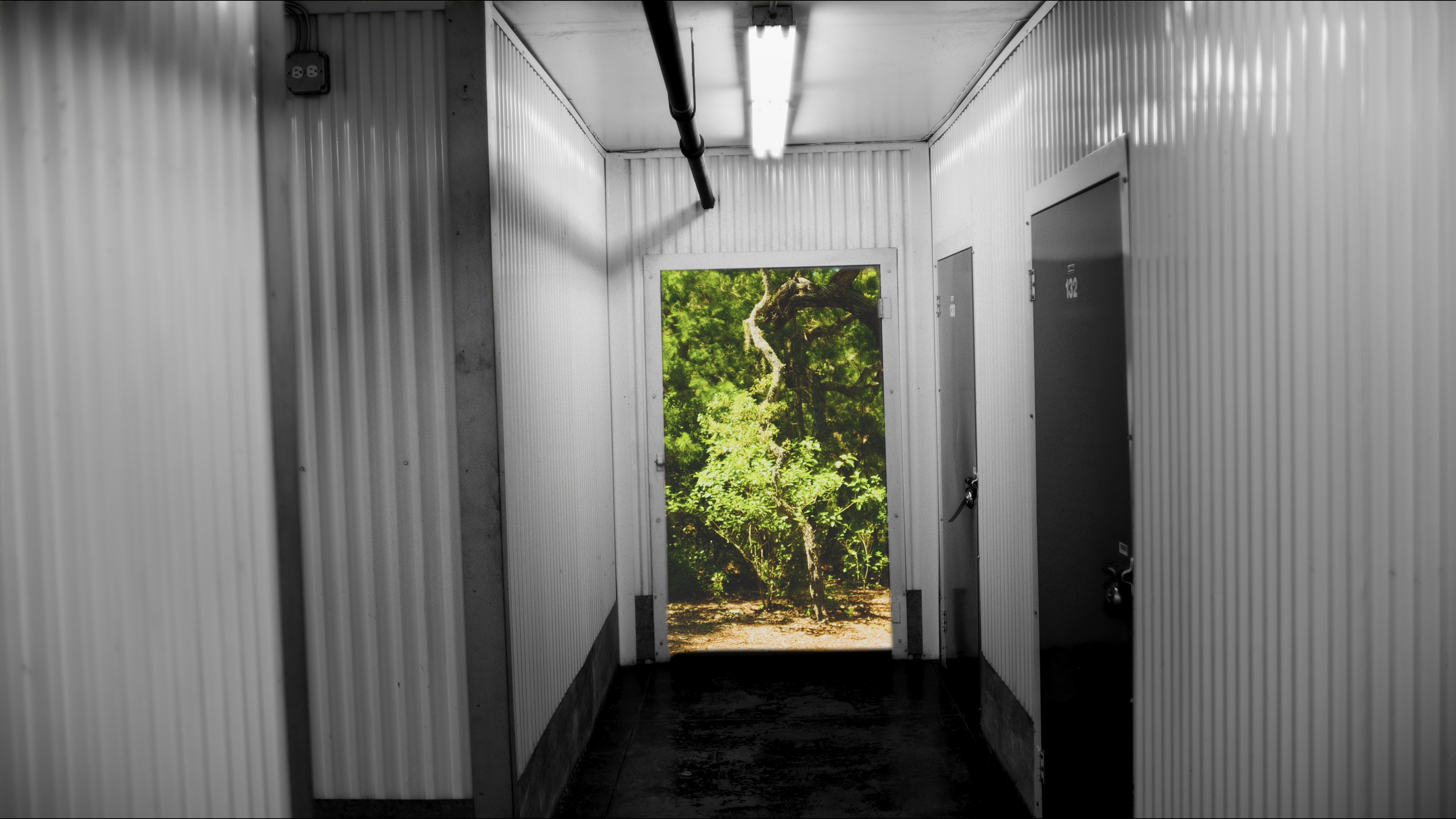 A storage corridor opening onto a green forest in Thoth.